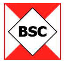 Logo for BSC